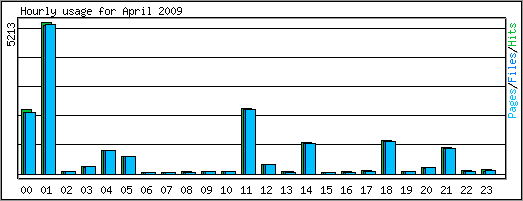 Hourly usage
