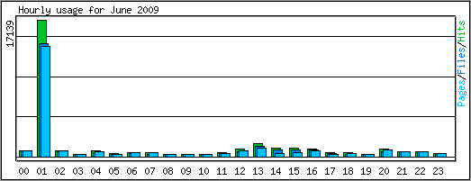 Hourly usage