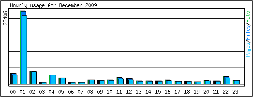 Hourly usage
