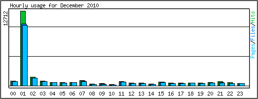 Hourly usage