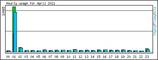 Hourly usage