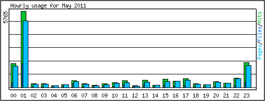 Hourly usage