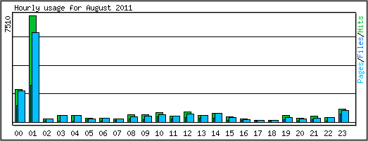 Hourly usage
