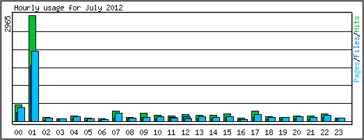Hourly usage