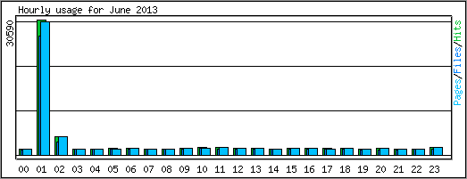 Hourly usage