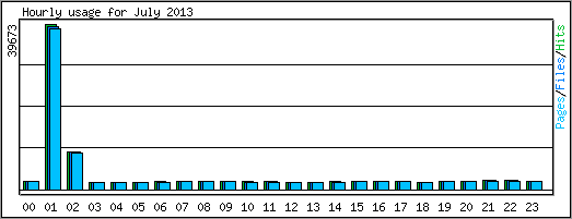 Hourly usage
