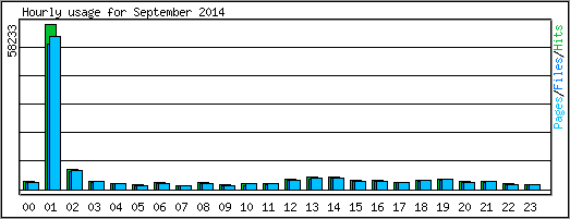 Hourly usage