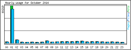 Hourly usage
