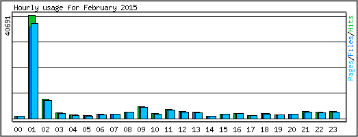 Hourly usage