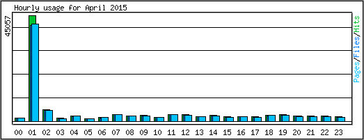 Hourly usage