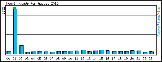 Hourly usage