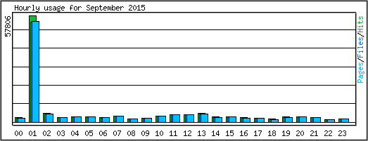 Hourly usage