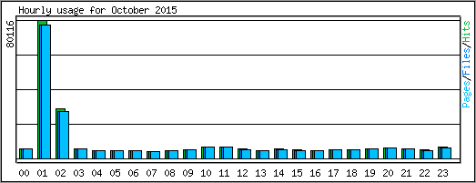 Hourly usage