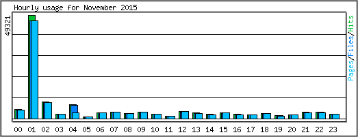 Hourly usage