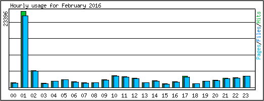 Hourly usage