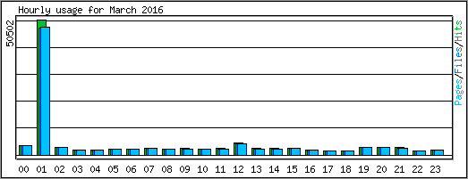 Hourly usage