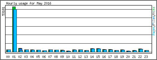 Hourly usage