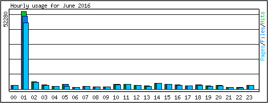 Hourly usage