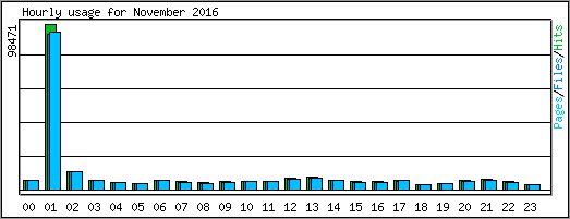 Hourly usage