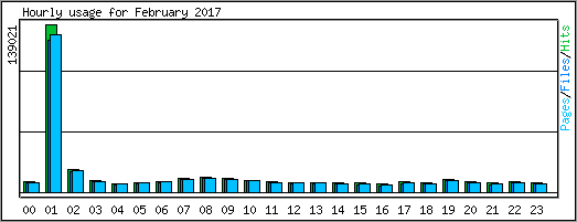 Hourly usage