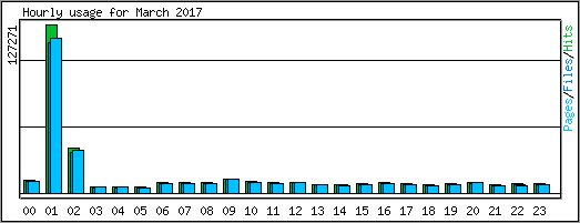 Hourly usage