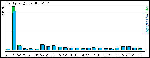 Hourly usage