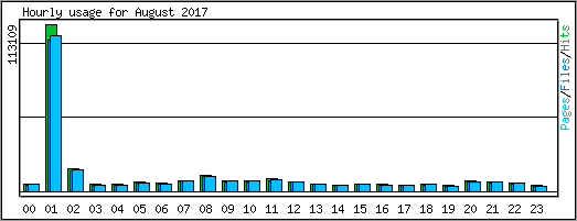 Hourly usage