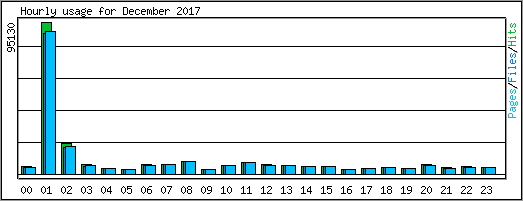 Hourly usage