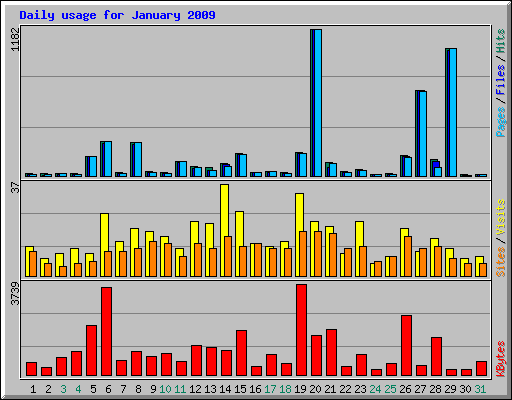 Daily usage for January 2009