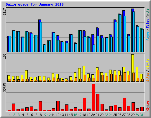 Daily usage for January 2010