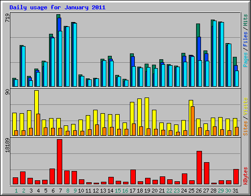 Daily usage for January 2011