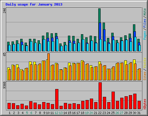 Daily usage for January 2013