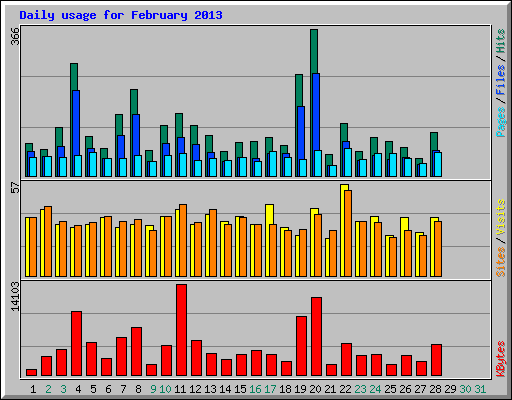 Daily usage for February 2013