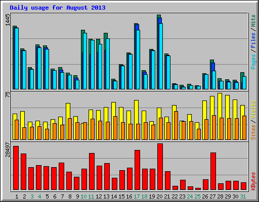 Daily usage for August 2013