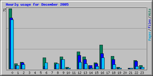 Hourly usage for December 2005