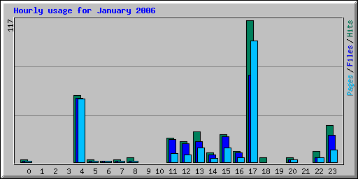 Hourly usage for January 2006
