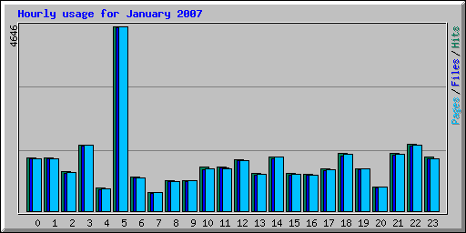 Hourly usage for January 2007
