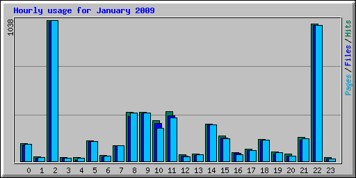 Hourly usage for January 2009