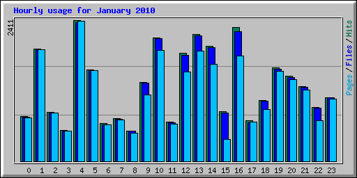 Hourly usage for January 2010