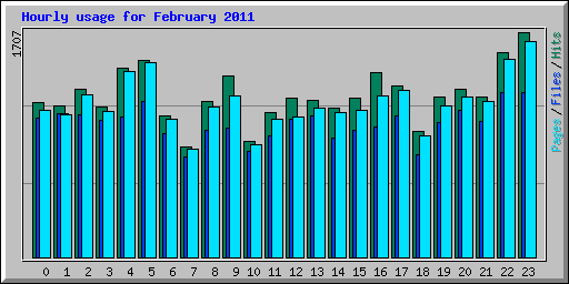 Hourly usage for February 2011
