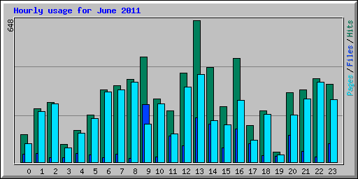 Hourly usage for June 2011