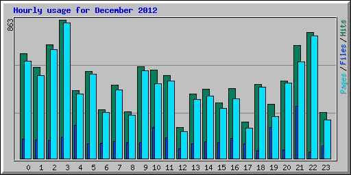 Hourly usage for December 2012