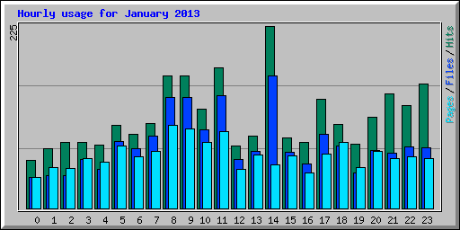 Hourly usage for January 2013