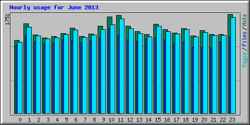 Hourly usage for June 2013