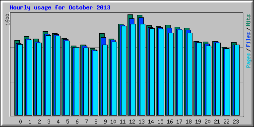 Hourly usage for October 2013
