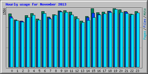 Hourly usage for November 2013