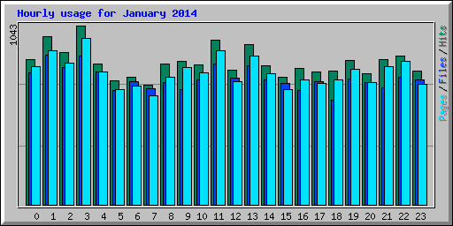 Hourly usage for January 2014