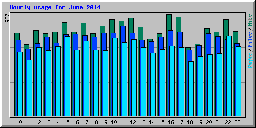 Hourly usage for June 2014