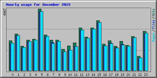 Hourly usage for December 2015