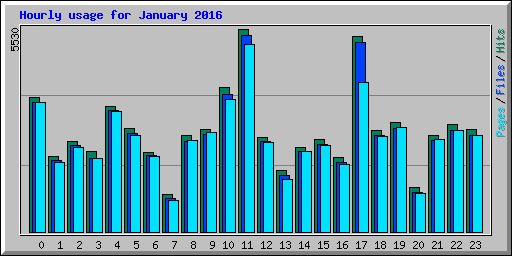 Hourly usage for January 2016